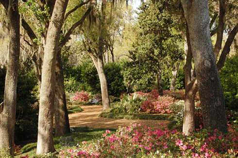 bok-tower-gardens