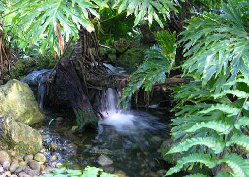 fairchild-tropical-botanic-garden