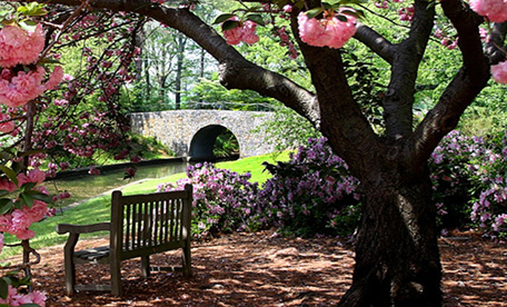 daniel-stowe-botanical-gardens